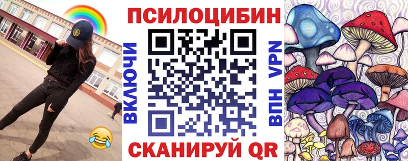 Галлюциногенные грибы MAGIC MUSHROOMS  Трубчевск 